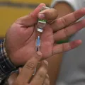 Ciência brasileira descobre o que pode acabar com dengue e malária imagem