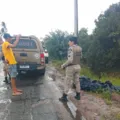 Corpo de jovem é encontrado enrolado em sacos plásticos na BA-001 imagem
