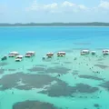 Destino no Nordeste proíbe passeios turísticos em praia famosa imagem