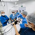 Exames e consultas de graça para cadelas e gatas no Outubro Rosa Pet em Salvador imagem