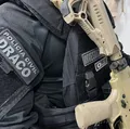 Grupo fraudava registros de CAC para comprar e vender armas na Bahia imagem