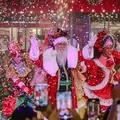 Hit do Jammil, música 'Celebrar' ganha versão natalina na voz de Adelmo Casé imagem