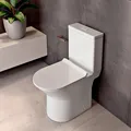 Homem compra vaso sanitário por R$ 50 milhões em leilão imagem