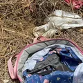Jovem é presa após confessar morte de guarda municipal na Bahia imagem