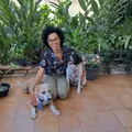 Legislação protege quem cuida de animais imagem