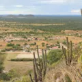 Lula sanciona extinção de floresta nacional no oeste da Bahia imagem