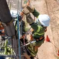 Mais de 20 cidades vão receber Operação Gatonet da Coelba; veja quais imagem