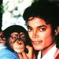 Mais de 80 cobras, zoológico privado e mais: famosos com pets exóticos imagem