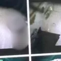 Mulher descobre que era filmada nua no banheiro do trabalho pelo patrão imagem