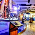 Museu em Salvador tem oficinas e palestras com entrada gratuita imagem