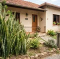 Nove plantas que afastam energias negativas e aumentam a proteção da sua casa imagem
