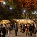 O que a gastronomia e os festivais revelam sobre o futuro do turismo na Bahia imagem
