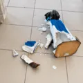 O que está por trás dos ataques a imagens de santos católicos em Salvador? imagem