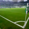 Palmeiras tem jogador suspenso por doping antes de enfrentar o Bahia imagem