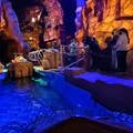 Parque brasileiro fecha atração de 46 anos que Michael Jackson tentou comprar imagem