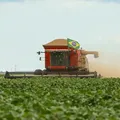 Plano de Estado é urgente, Sr. Presidente! imagem