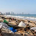 Praia de Piatã recebe mutirão de limpeza imagem