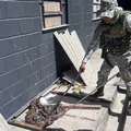 Quatro jiboias são encontradas dentro do Complexo Penal da Mata Escura imagem