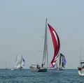 Regata Lixo Zero sai de Humaitá dia 17 imagem