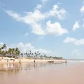 Sete praias da Bahia ganham prêmio internacional rigoroso e importante imagem