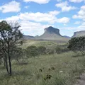 Terrenos públicos eram vendidos com documentos sem validade na Chapada Diamantina imagem