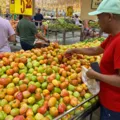 Tomate 156% mais caro em Salvador: veja o porquê e quanto pesa no bolso imagem