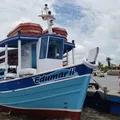 TRE-BA determina retomada de travessias após interrupção na Bahia imagem