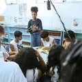 Três curtas produzidos por estudantes serão exibidos em Camaçari imagem