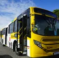 TSE dá 30 minutos para Salvador, Feira e Lauro explicarem redução de ônibus imagem