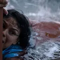 Tubarão é avistado em rua alagada e lembra filme no TOP 5 da Netflix imagem