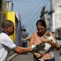 Vacinação de cães e gatos acontece em bairros de Salvador neste domingo (30/08) imagem