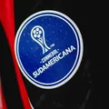 Vitória mira retorno à Copa Sul-Americana: "Internacionalizar a marca" imagem