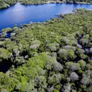 Brasil alcança menor taxa de desmatamento na Amazônia e Cerrado