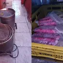 Fábrica de carnes é interditada por condições inadequadas de higiene