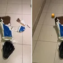 Imagem de Santa Dulce dos Pobres é destruída em igreja de Salvador