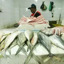 Pesca em rio famoso do Brasil é proibida e multa pode chegar a R$ 100 mil