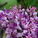 Primavera começa nesta terça-feira com mudanças no clima