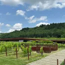 Roubo histórico: grupo invade vinícola e rouba 30 mil garrafas de vinho