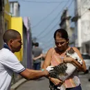 Vacinação de cães e gatos acontece em bairros de Salvador neste domingo (30/08)