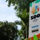Zoológico de Salvador anuncia visitas noturnas; veja como participar
