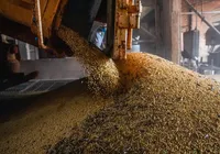 ‘Agribusiness Plan’: o futuro está no presente