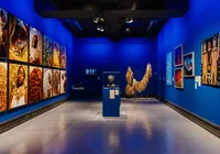 Atlântico Sertão: exposição gratuita reúne trabalhos de 80 artistas