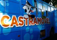 Castramóvel realiza castração gratuita de cães e gatos em Amaralina