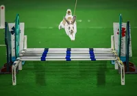 Coelhos atletas brilham em campeonato de saltos