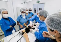 Exames e consultas de graça para cadelas e gatas no Outubro Rosa Pet em Salvador
