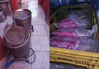Fábrica de carnes é interditada por condições inadequadas de higiene