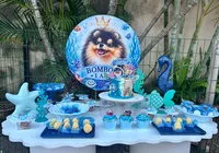 Festa, bolo e até casamento: os luxos na vida de cachorros em Salvador