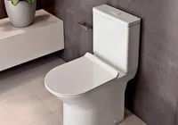 Homem compra vaso sanitário por R$ 50 milhões em leilão