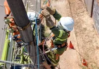 Mais de 20 cidades vão receber Operação Gatonet da Coelba; veja quais