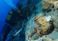 Navio de 4 mil anos é encontrado e revela segredos antigos dos marinheiros